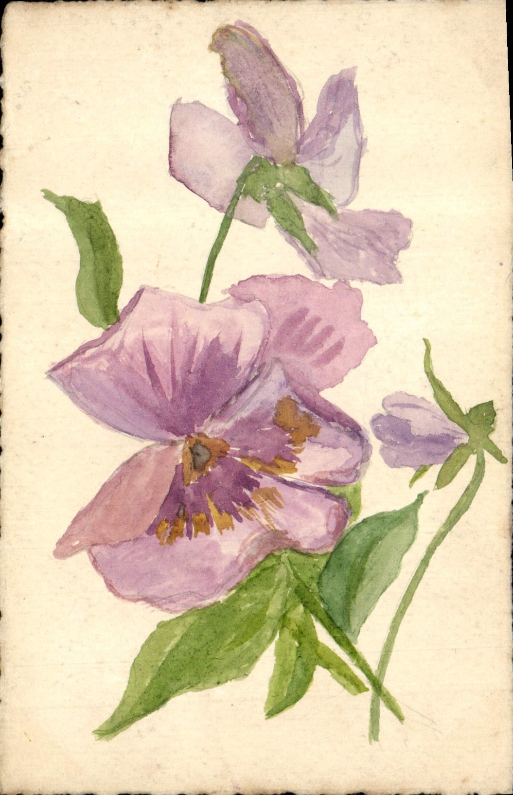 Fleurs de violettes — aquarelle — Carte postale française