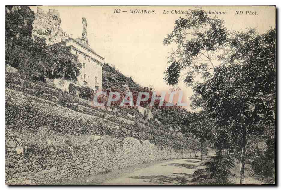 CPA Chateau de Rocheblanc Molines