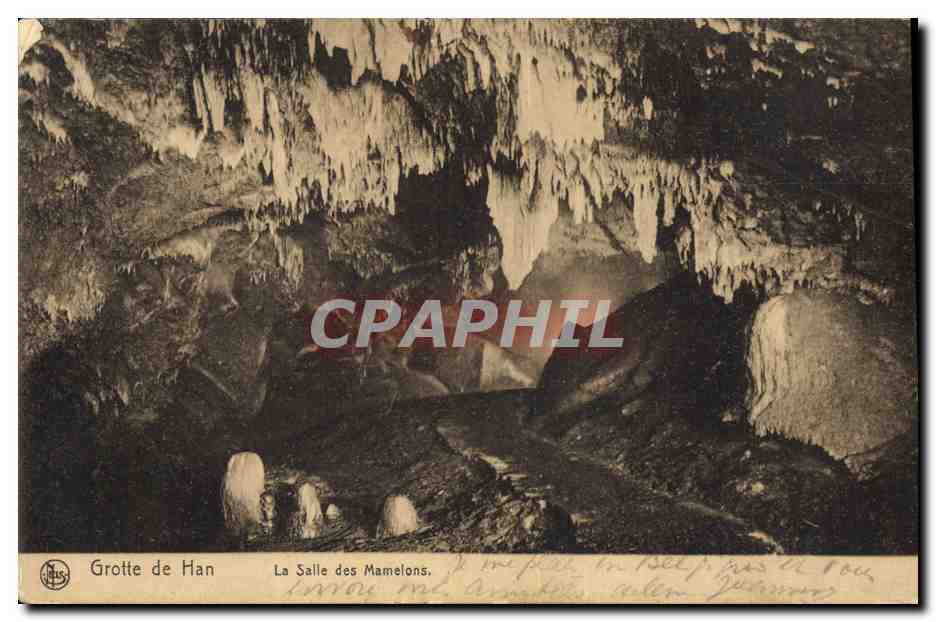 CPA Grottes Grotte de Han La salle des Mamelons