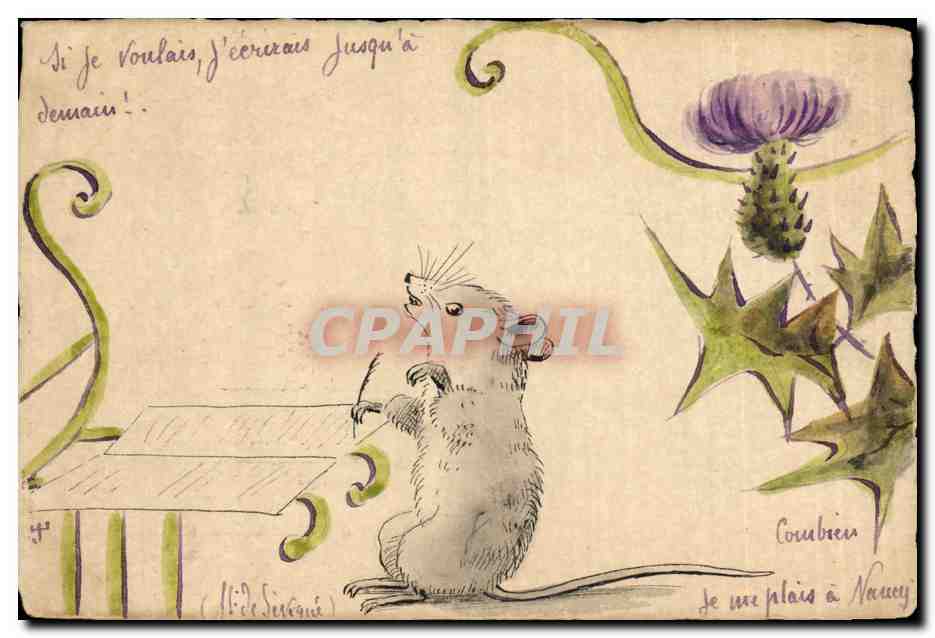 Rat à un bureau — illustration — Combien à Nancy