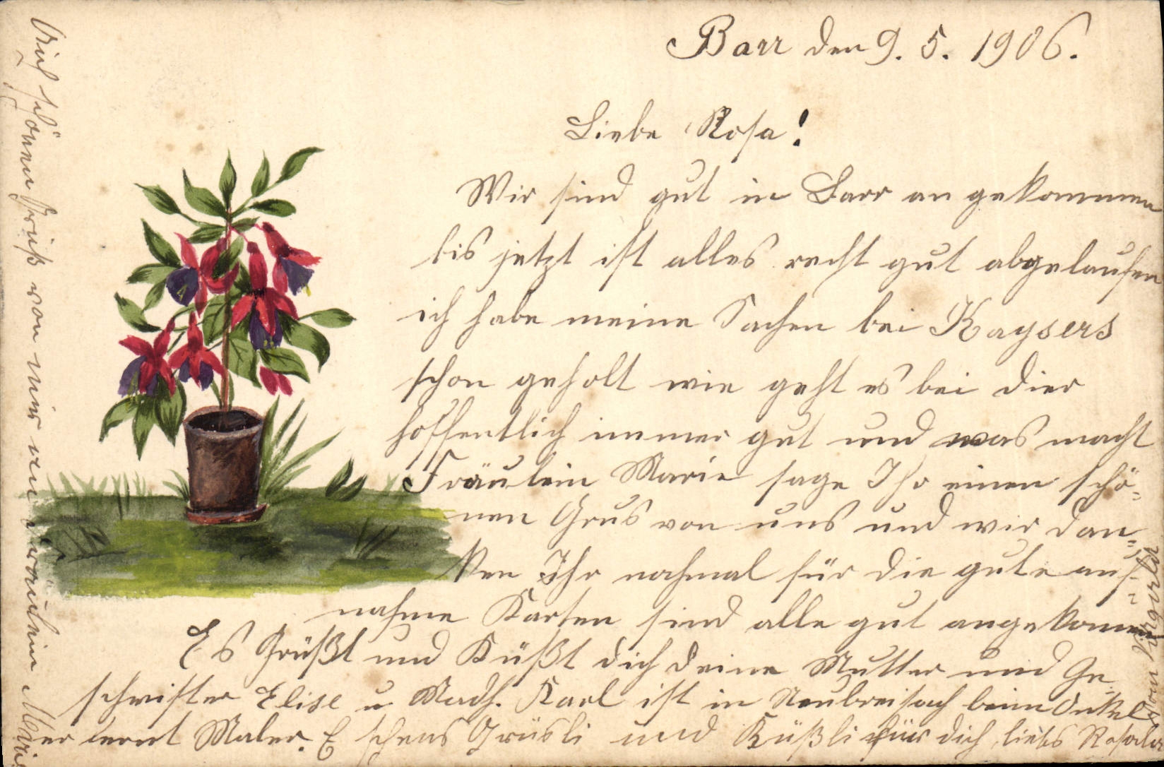 Plante en pot — illustration — éditeur inconnu, n° de série non visible