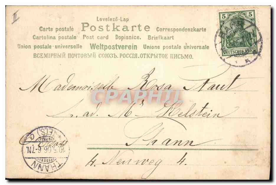 Plante en pot — illustration — éditeur inconnu, n° de série non visible — Verso