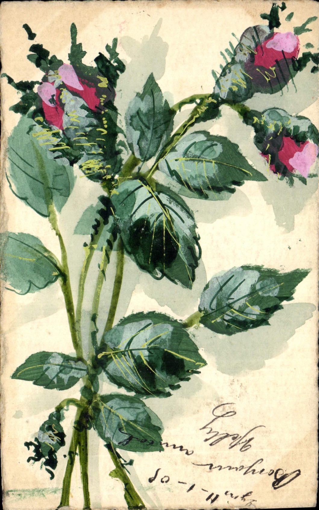 Bouquet de roses — illustration à l'aquarelle — Cartolina Postale Italiana