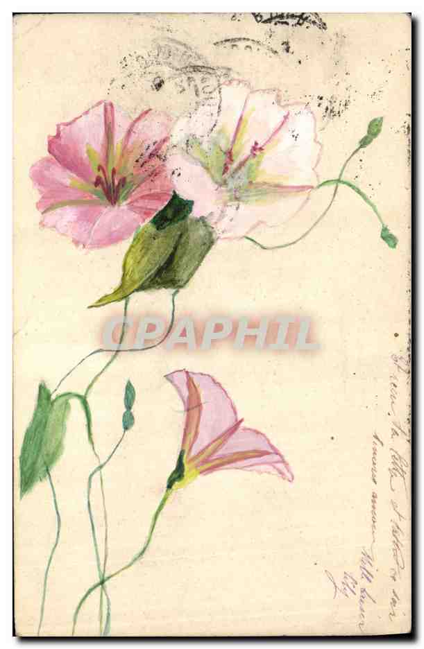 Fleurs roses — dessin à l'aquarelle — Carte postale française