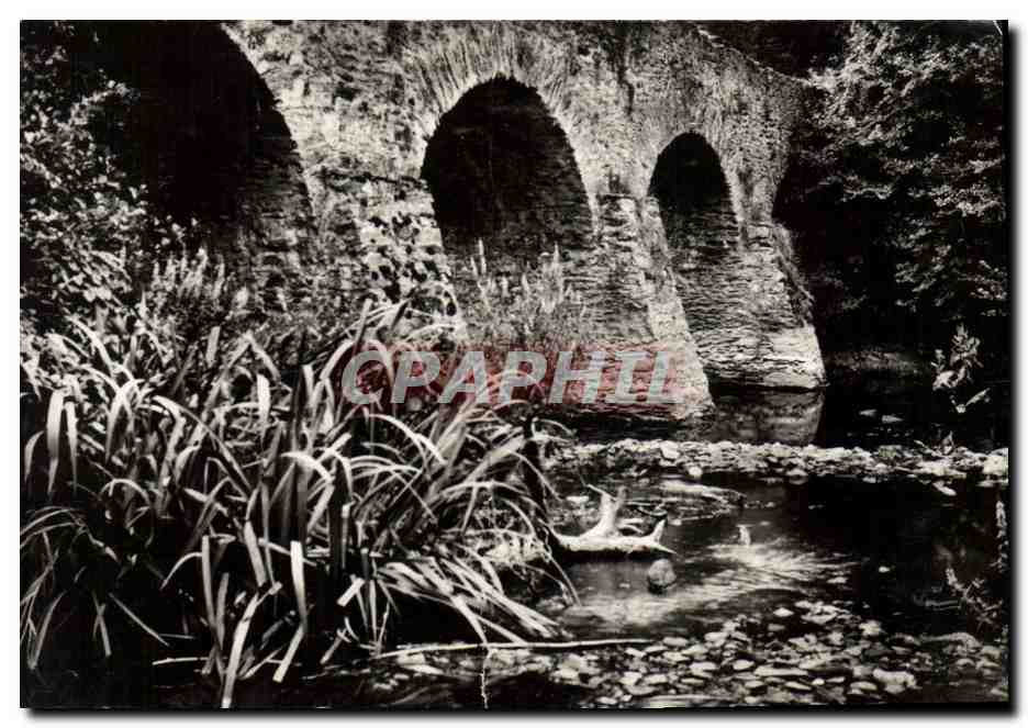 CPM Chateau Chantonnay Vieux pont Moyen Age de Toucheray