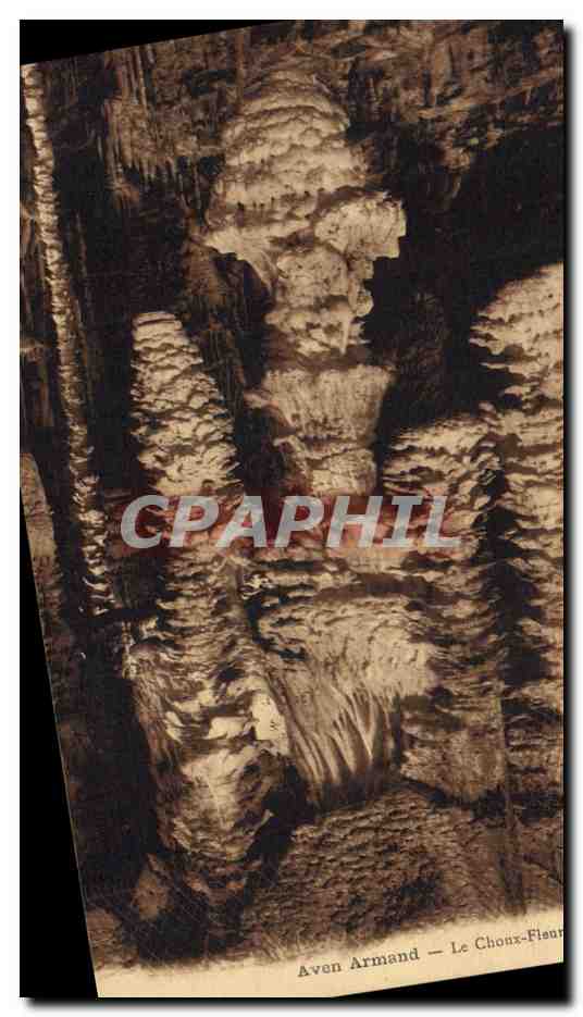 CPA Grotte Grottes Aven Armand Le Choux Fleur