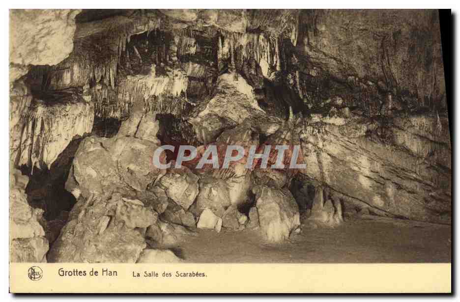 CPA Grotte Grottes de Han La salle des scarabees