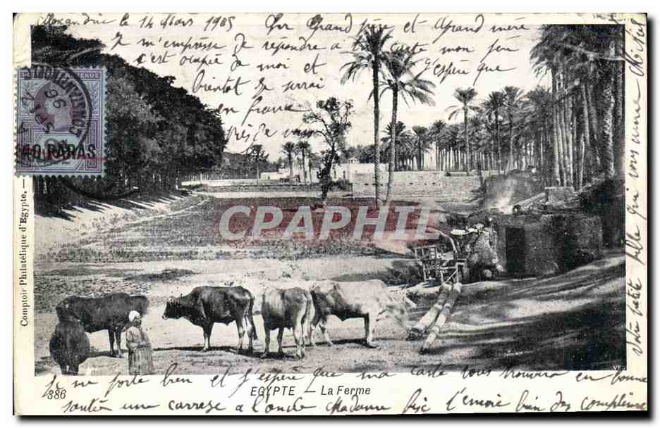 Égypte — La Ferme — Compagnie Philatélique d'Égypte, n°386