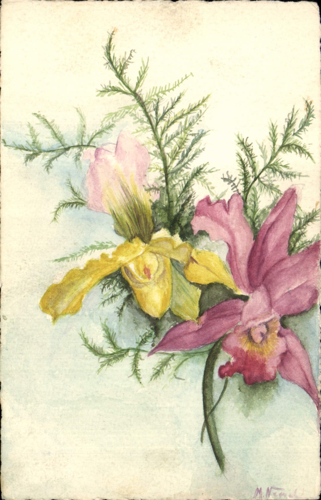 Bouquet of Orchids — Watercolor — M. Néroul