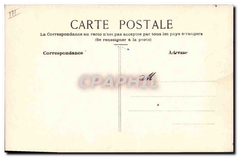 Vigne — grappes de raisin violet et jaune — carte postale non éditée — Reverso