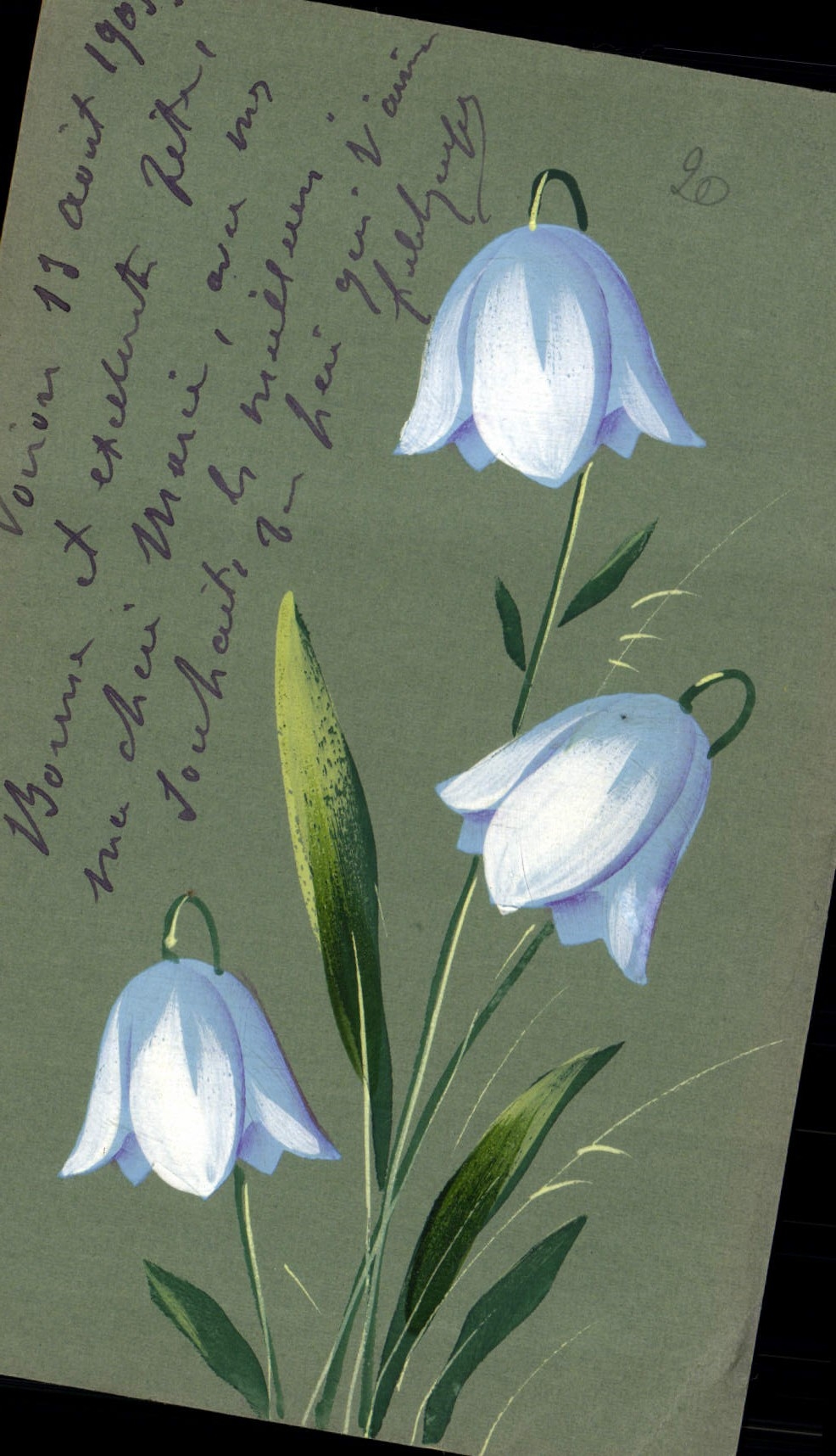 Campanules — illustration — Postkarte – Carte postale (Union postale universelle)