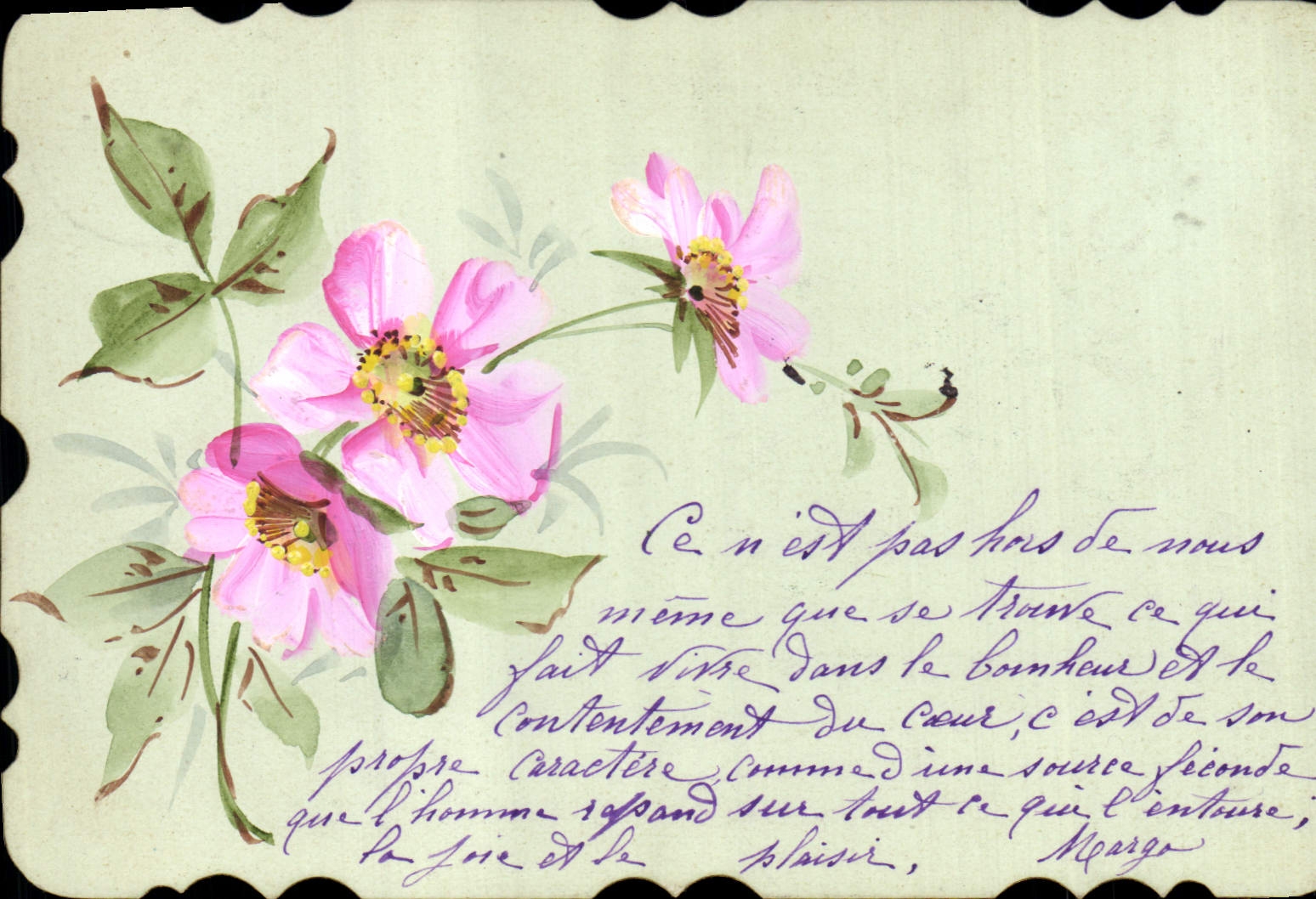 Fiori rosa — citazione di Mérigo — editore sconosciuto