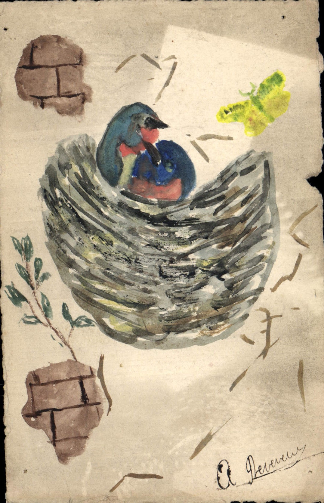 Oiseau dans un nid — dessin à l'aquarelle — A. Pereverus