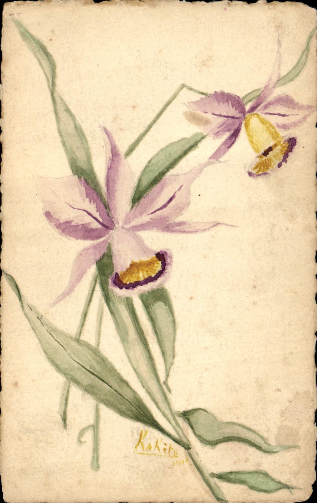 Orchidee — tekening in waterverf — Kakite, 1911