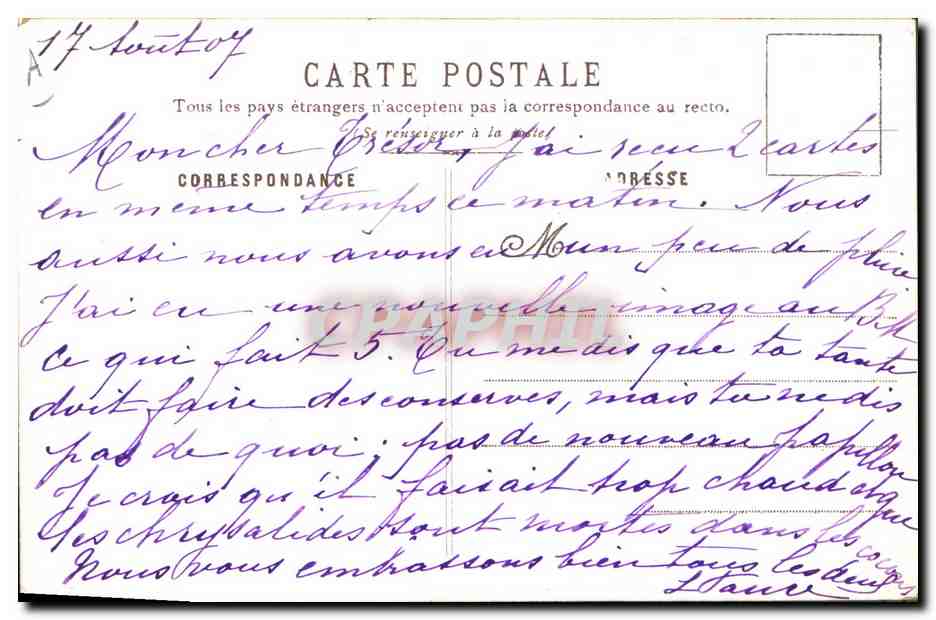 Chasseur à Pied — A. Palm de Rosa, n°12 — Verso
