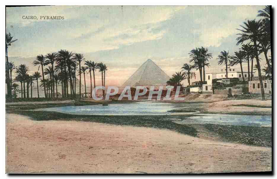 Cairo, Pyramides — vue avec pyramide et palmiers — The Cairo Postcard Trust, série n°7