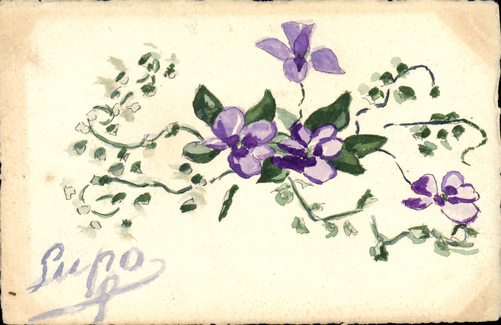 Fleurs de violette — dessin à l'aquarelle — signé 'Rupo' — éditeur CPAPHILL