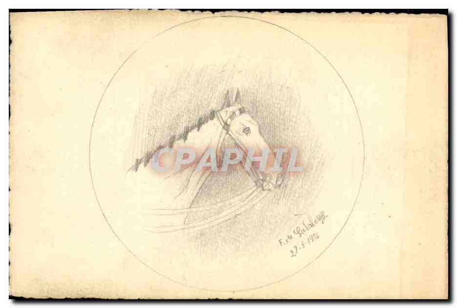 Tête de cheval — dessin au crayon — F. de Galadry, 29-5-1936
