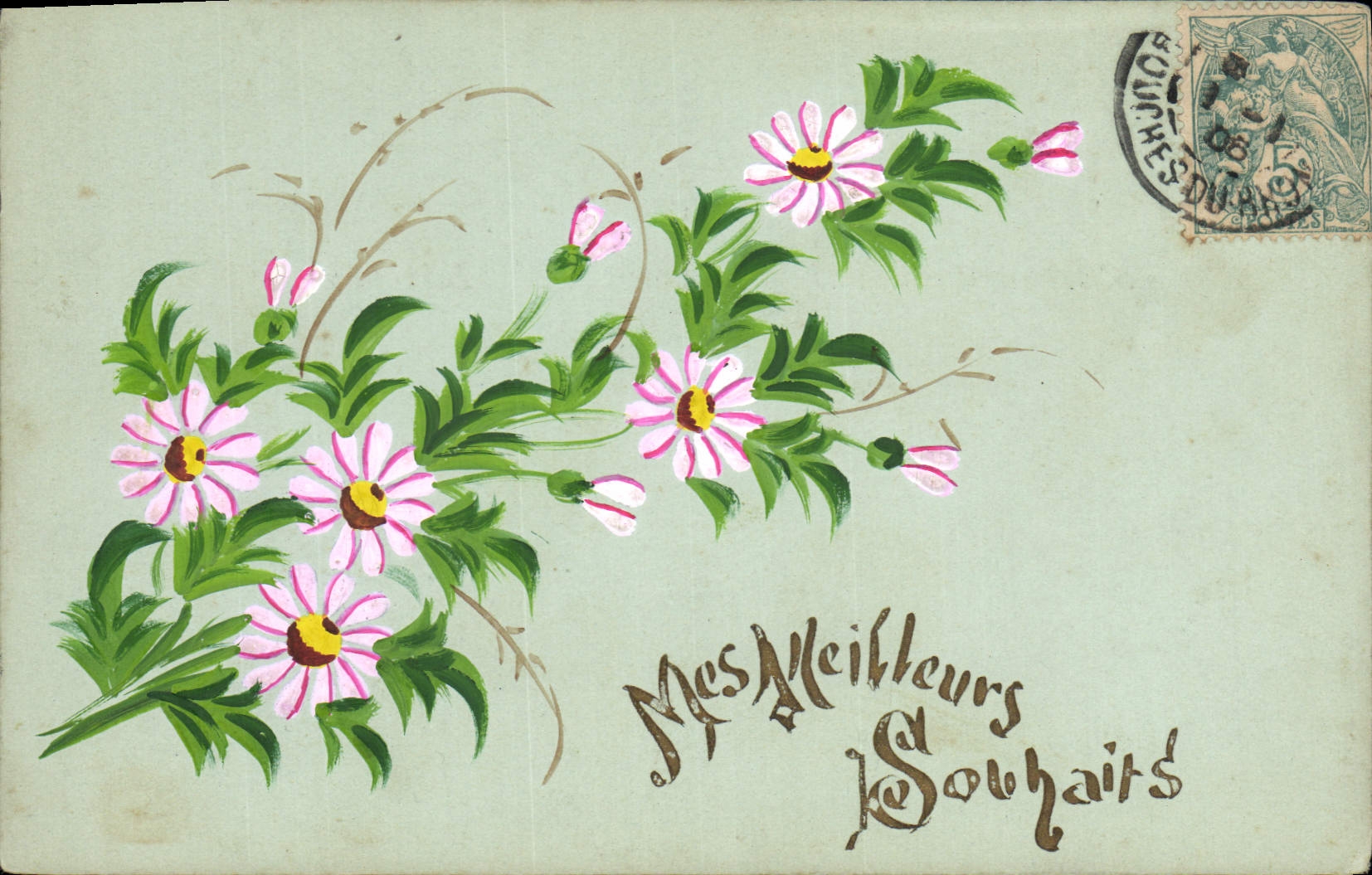 Fleurs de cosmos — Mes Meilleurs Souhaits — Carte postale