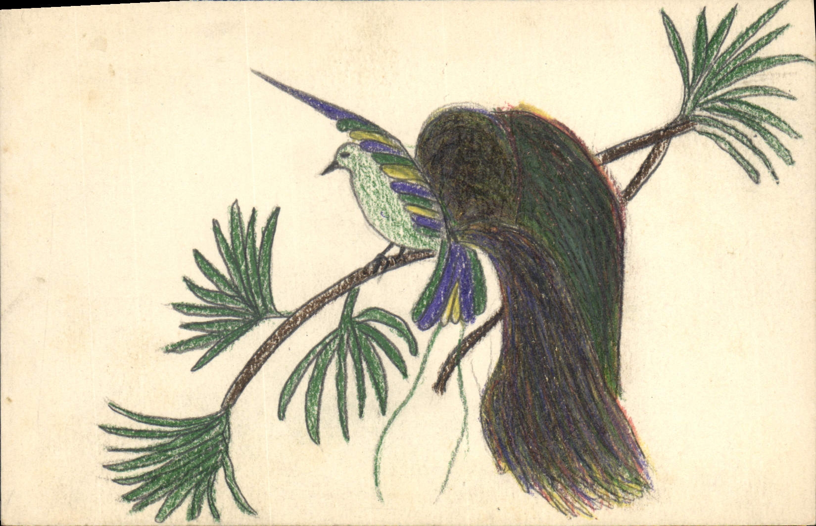 Oiseau exotique sur branche — dessin à crayons de couleur — carte postale vierge