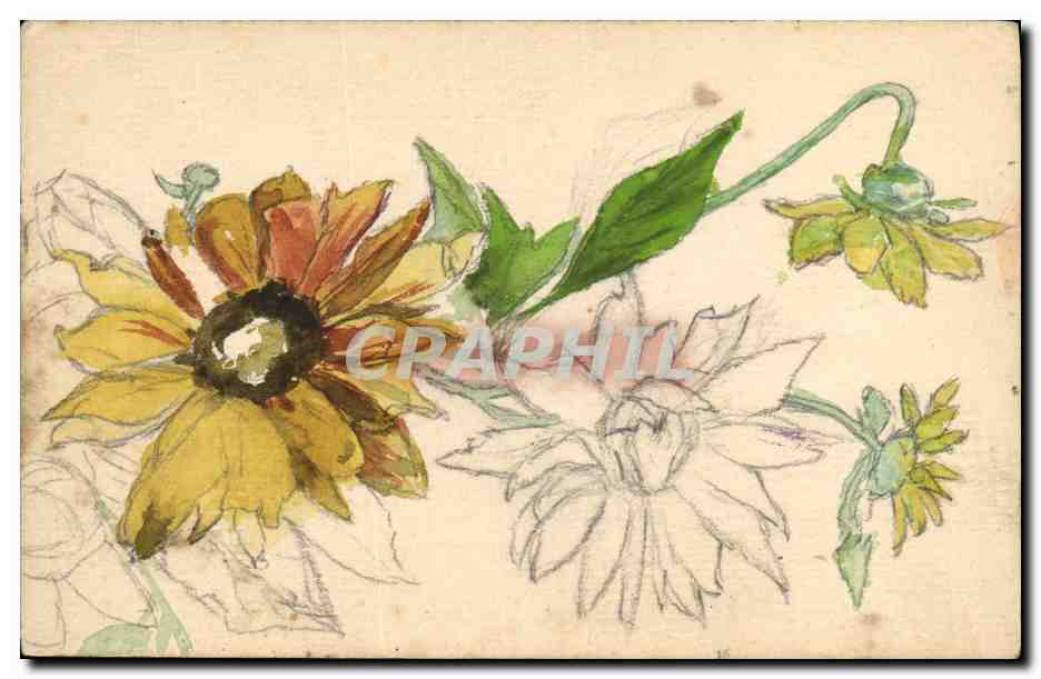 Fleur jaune — étude de fleur avec croquis — sans éditeur ni numéro visible