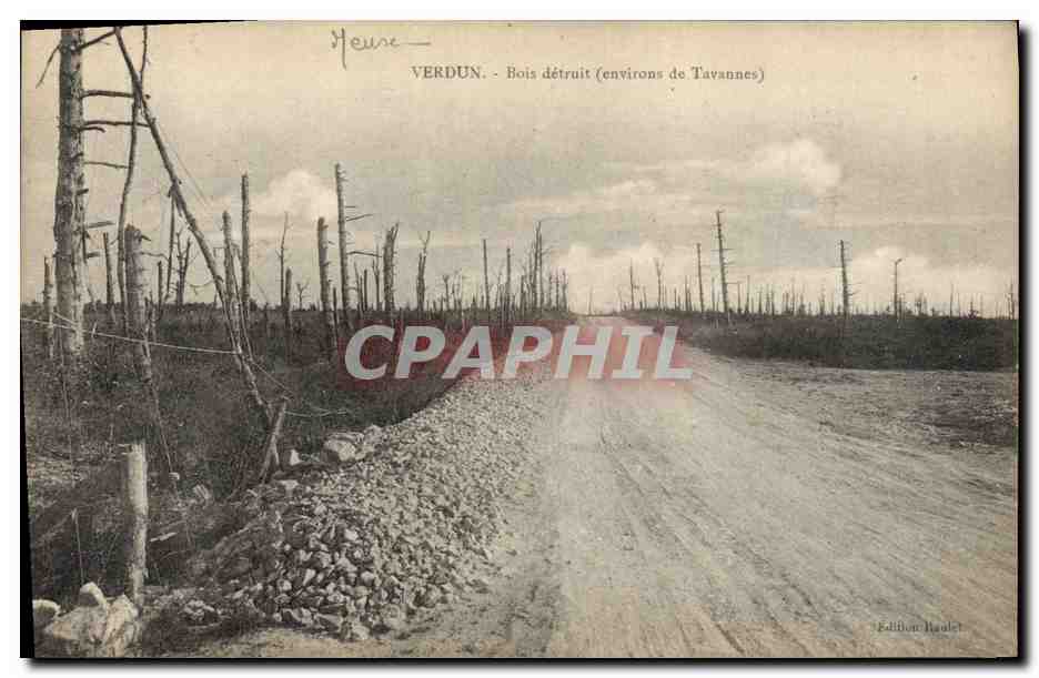 CPA Militaria Verdun Bois detruit (environs de Tavennes) 