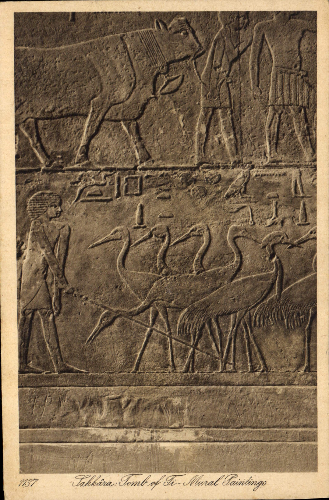 Takbira: Tombe de Ti - Peintures murales — Éditeur Lehner & Landrock, n° 1137