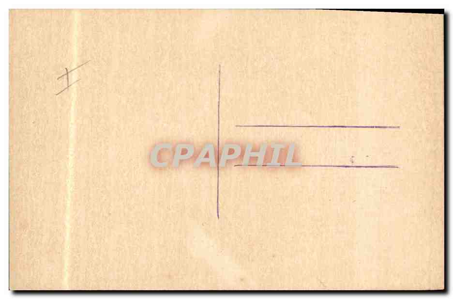 Fleurs et oiseaux — illustration — CPAPHIL — Reverso