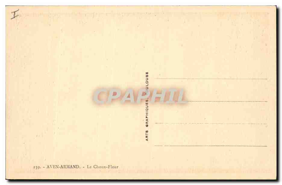 CPA Aven Armand Le Choux Fleur  — Rückseite