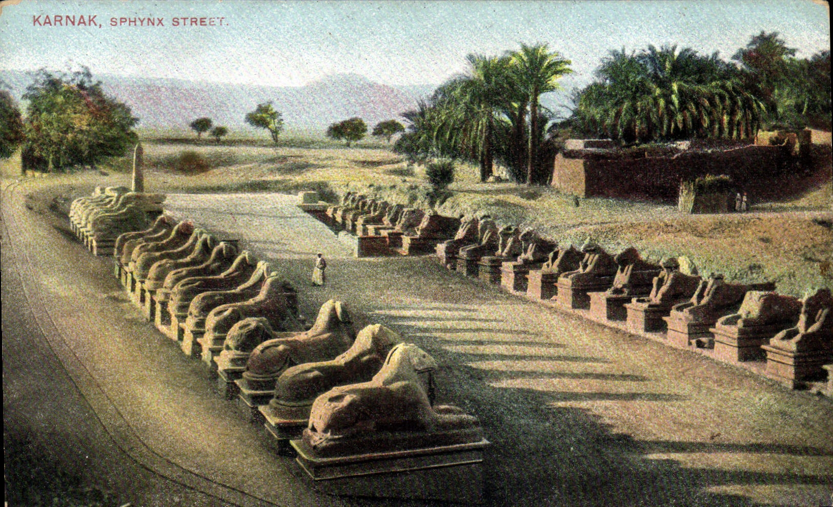 Karnak, Sphynx Street — vue des sphinx — Lichtenstern & Harari, n°201