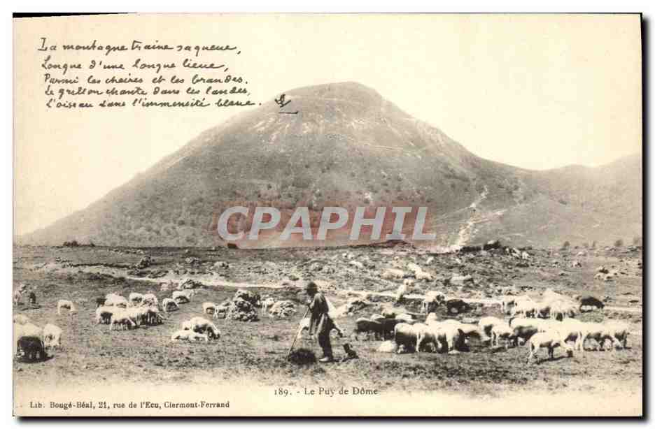 CPA Folklore Le Puy de Dome Berger Moutons