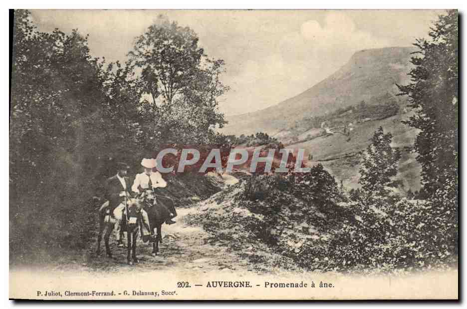 CPA Folklore Auvergne Promenade a ane Mule