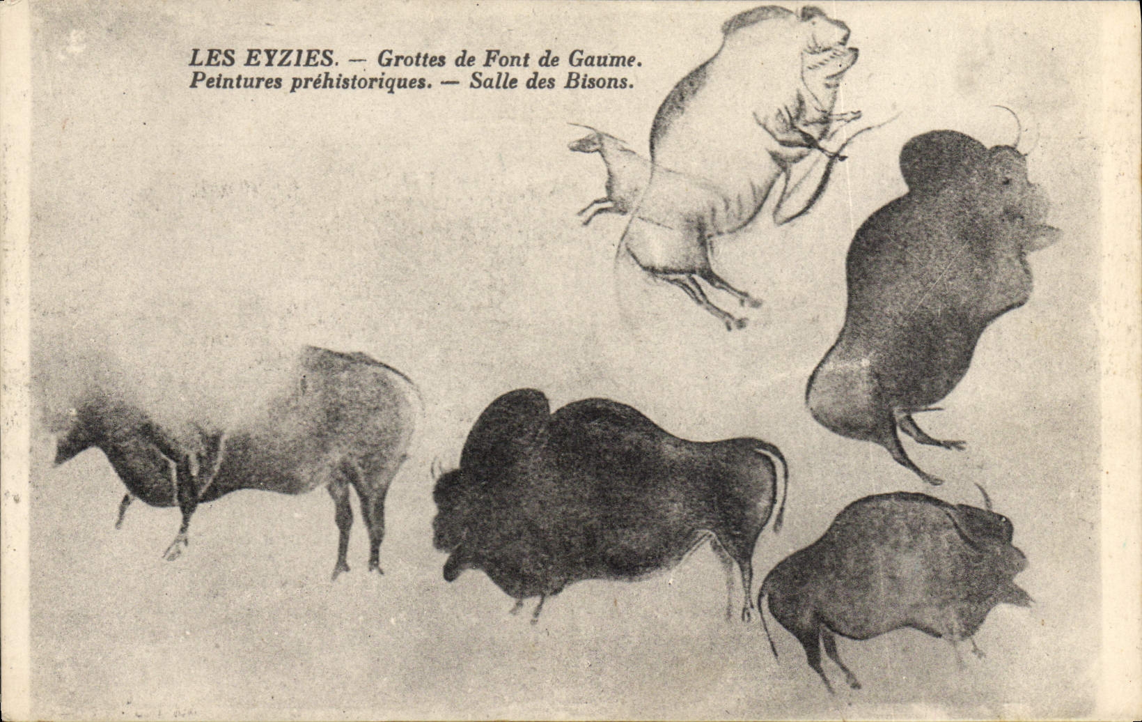 CPA Grotte Grottes de Font de Gaume Salle des Bisons Les Eyzies Peintures prehistoriques