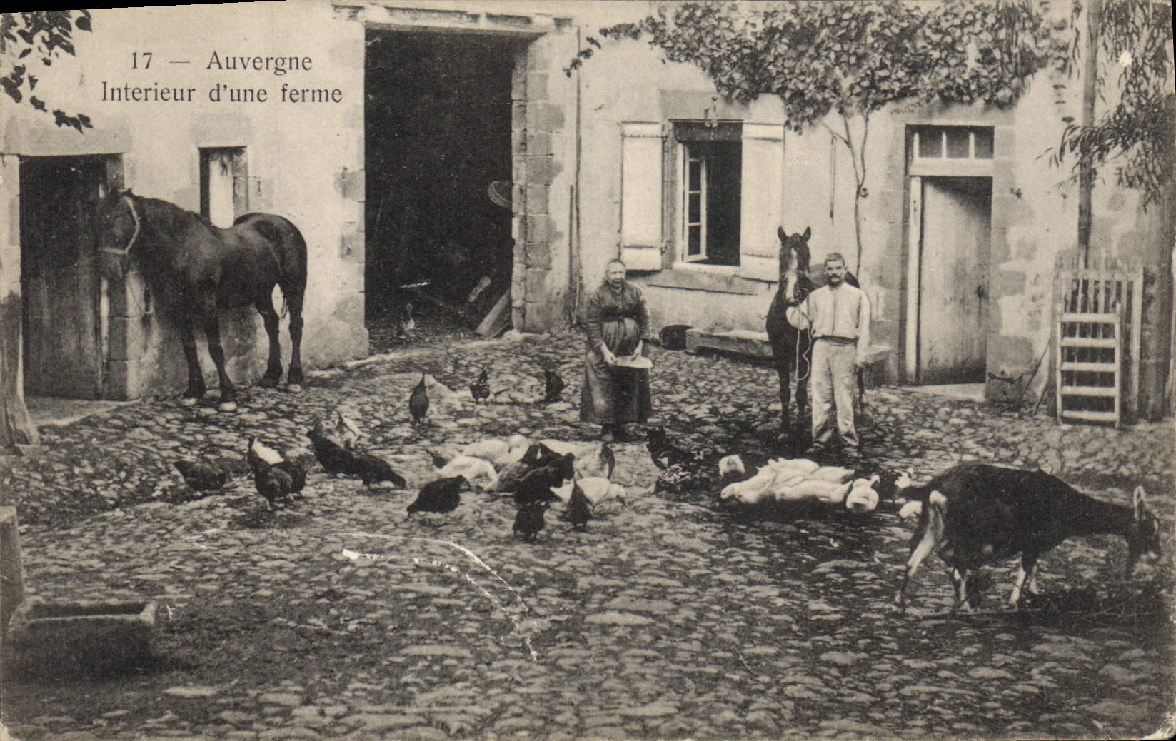 CPA Folklore Auvergne Interieur d'une ferme Poules Cheval Chevre