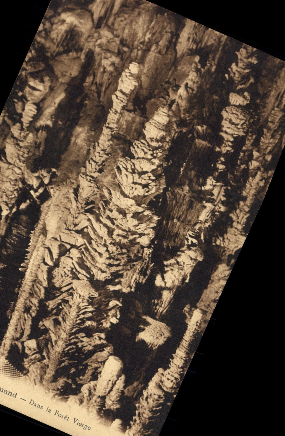 CPA Grotte Grottes Aven Armand Dans la foret vierge 