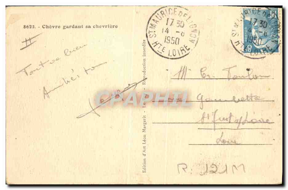 CPA Folklore Chevre gardant sa chevriere — Verso