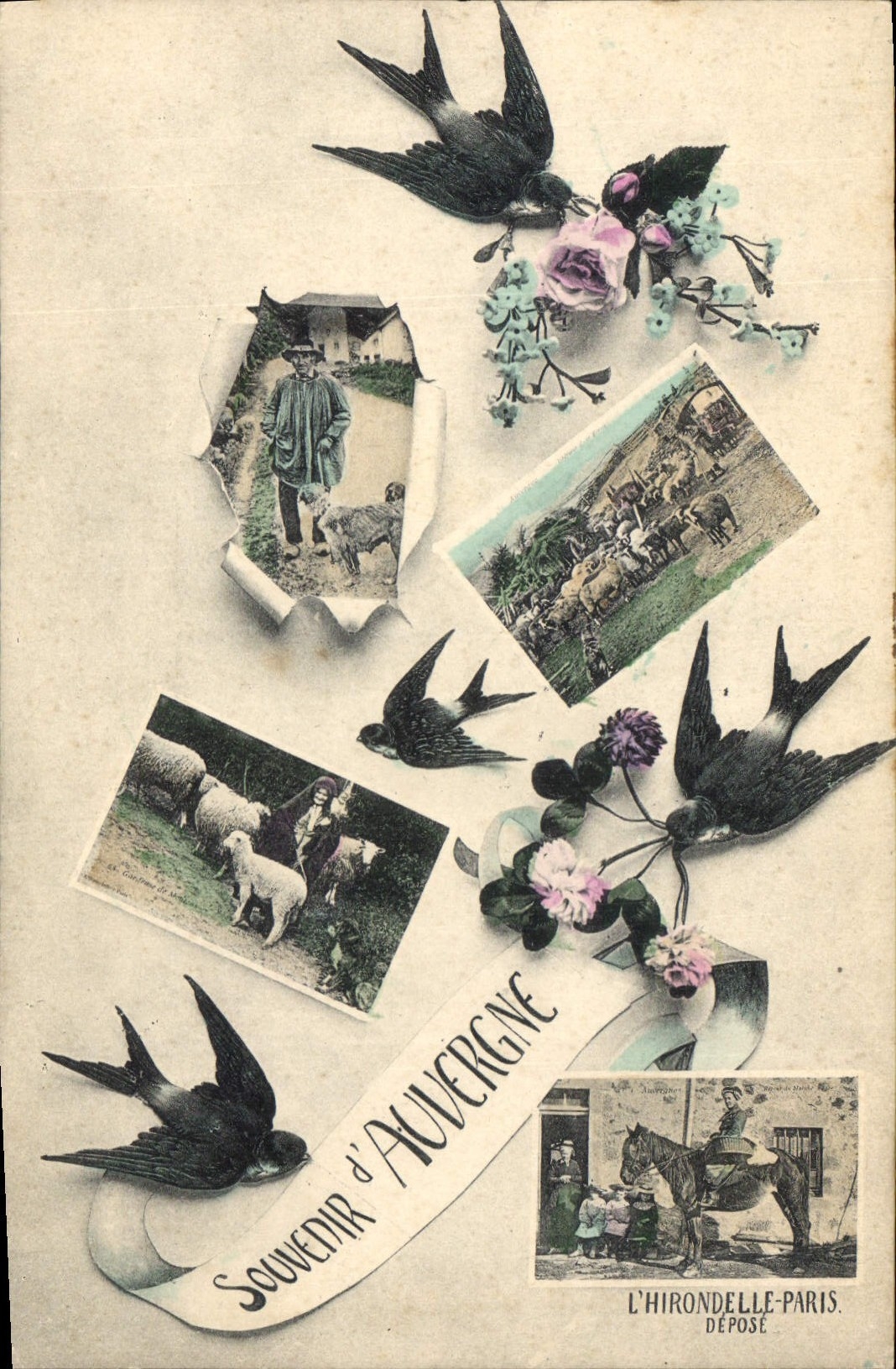 CPA Folklore Auvergne Hirondelles