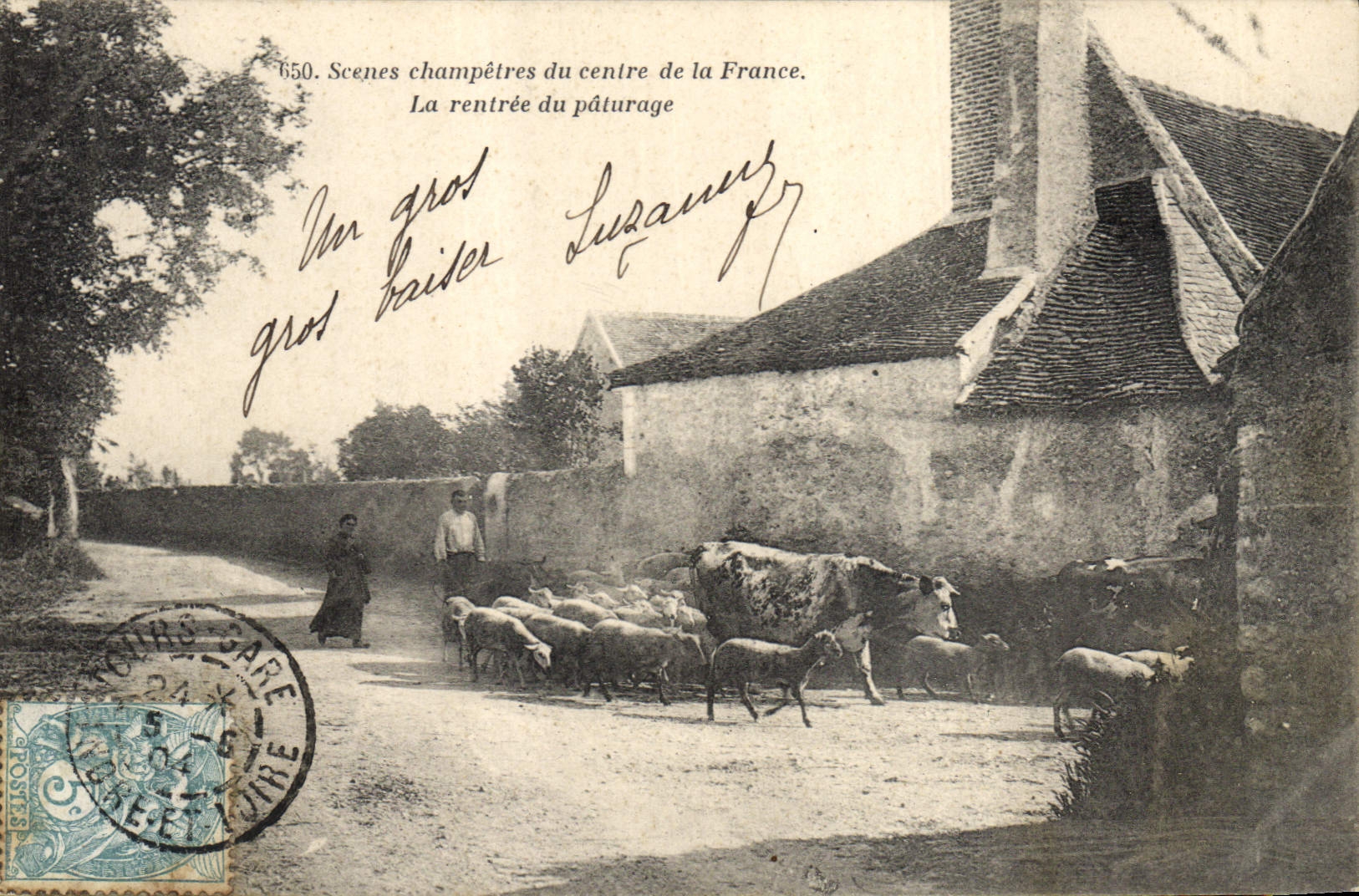 CPA Folklore La rentree du paturage Vaches Moutons
