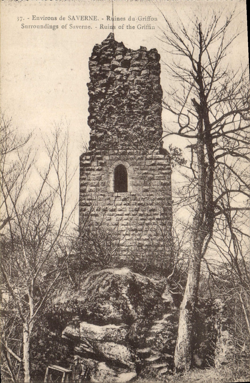 CPA Chateau Environs de Saverne Ruines du Griffon