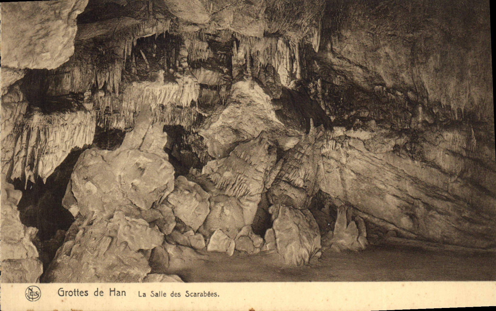 CPA Grotte Grottes de Han La salle des Scarabees
