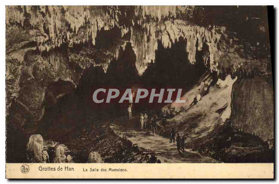 CPA Grotte Grottes de Han La salle des Mamelons