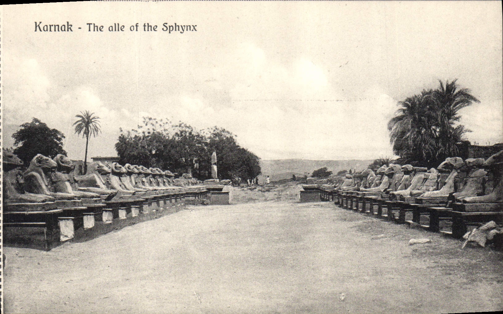 Karnak - The alle of the Sphynx — éditeur The Cairo Postcard Trust, série C3