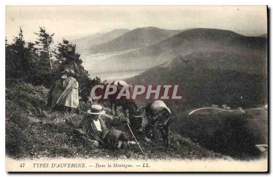CPA Folklore Auvergne Dans la montagne Ane Mule 
