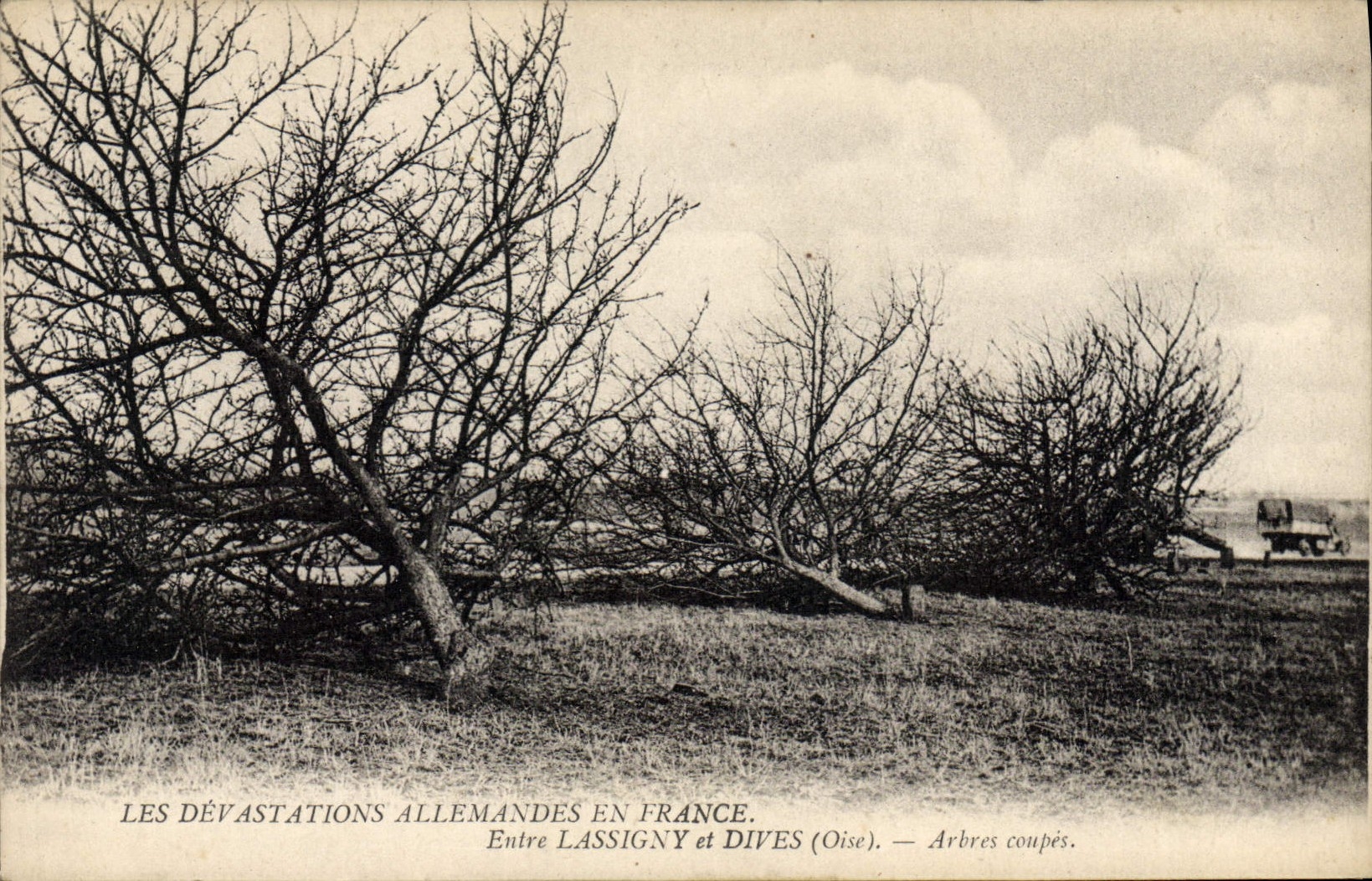 Les dévastations allemandes en France — Entre Lassigny et Dives (Oise) — Arbres coupés