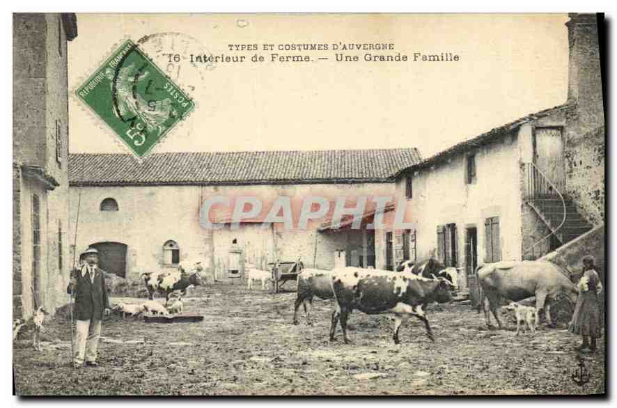 CPA Folklore Types et costumes d'auvergne interieur de ferme Vaches 