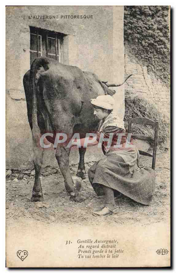 CPA Folklore L'Auvergne Pittoresque Vache 