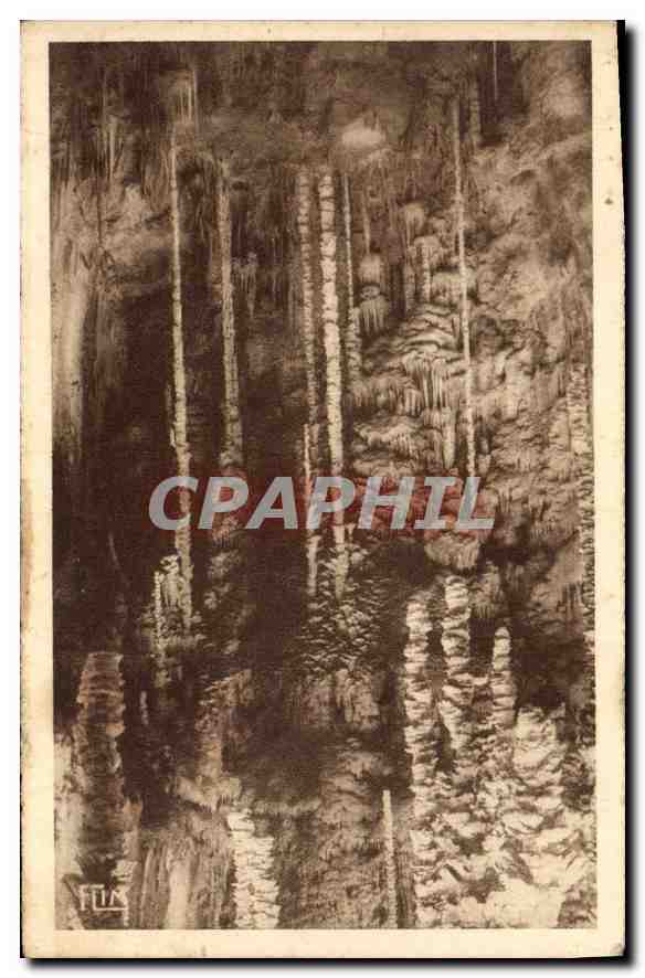 CPA l'Aven Armand dans la foret Vierge les aiguilles geantes 