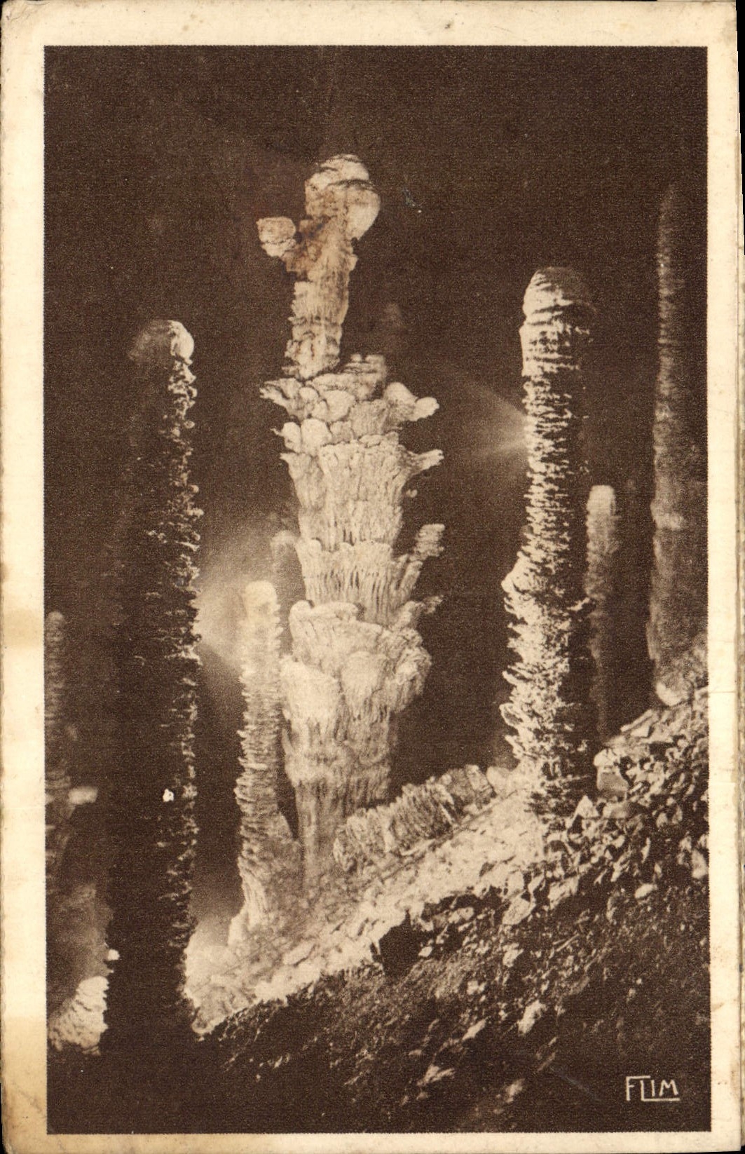 CPA l'Aven Armand dans la foret Vierge 