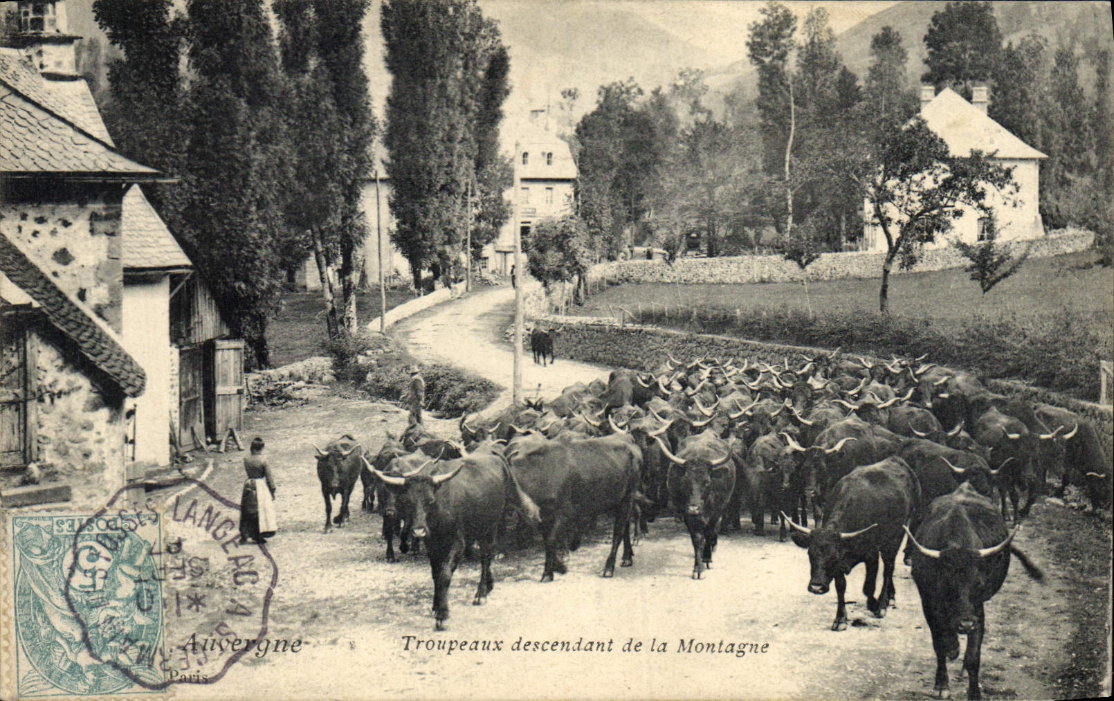 Troupeaux descendant de la Montagne — Auvergne — Langres, Paris