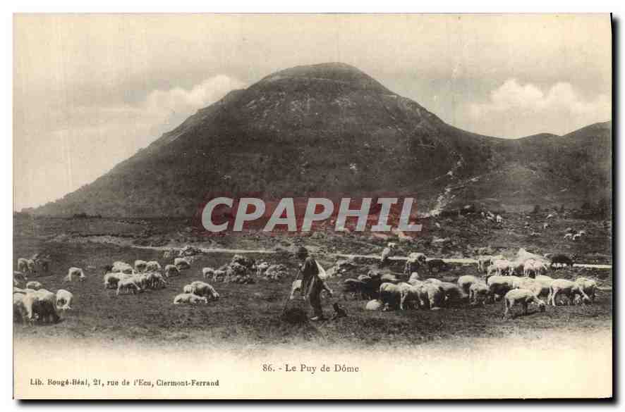 CPA Folklore Le Puy de Dome Berger Moutons